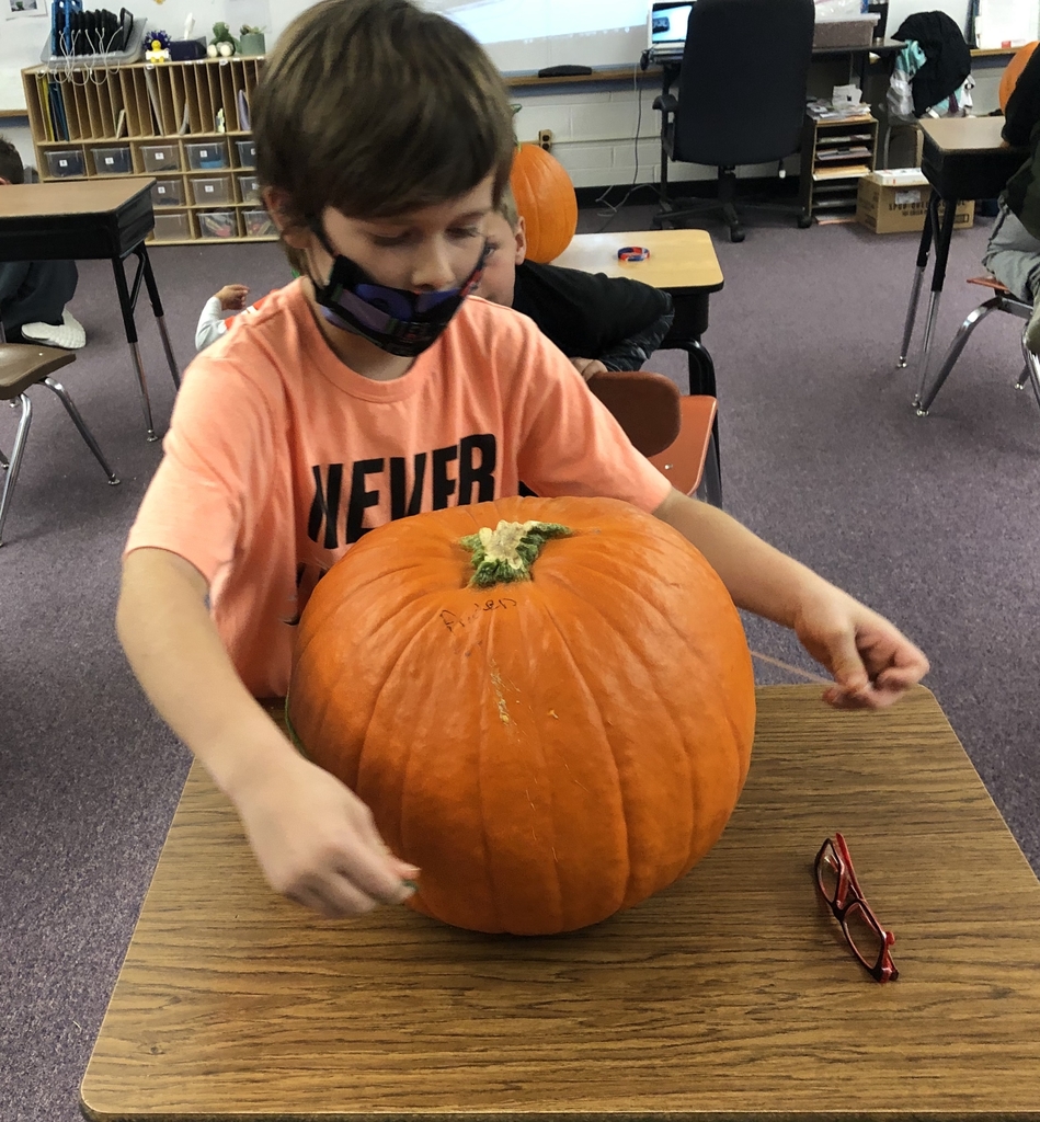Pumpkin math 