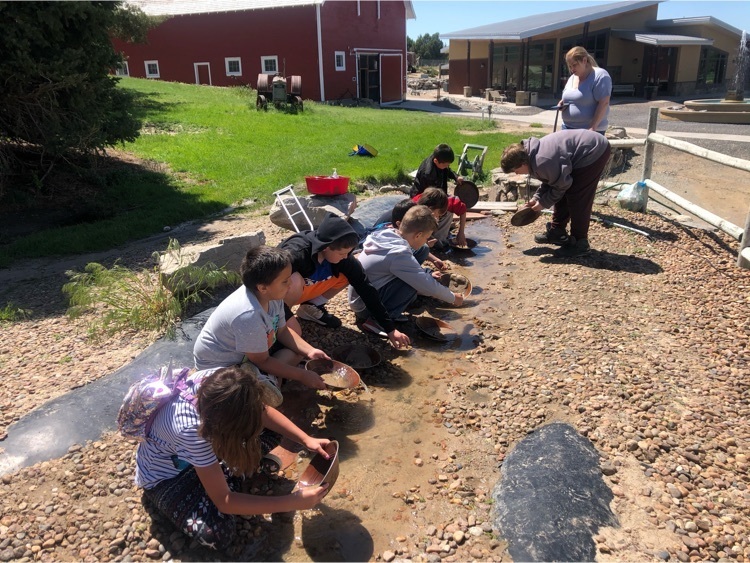 Panning for gold
