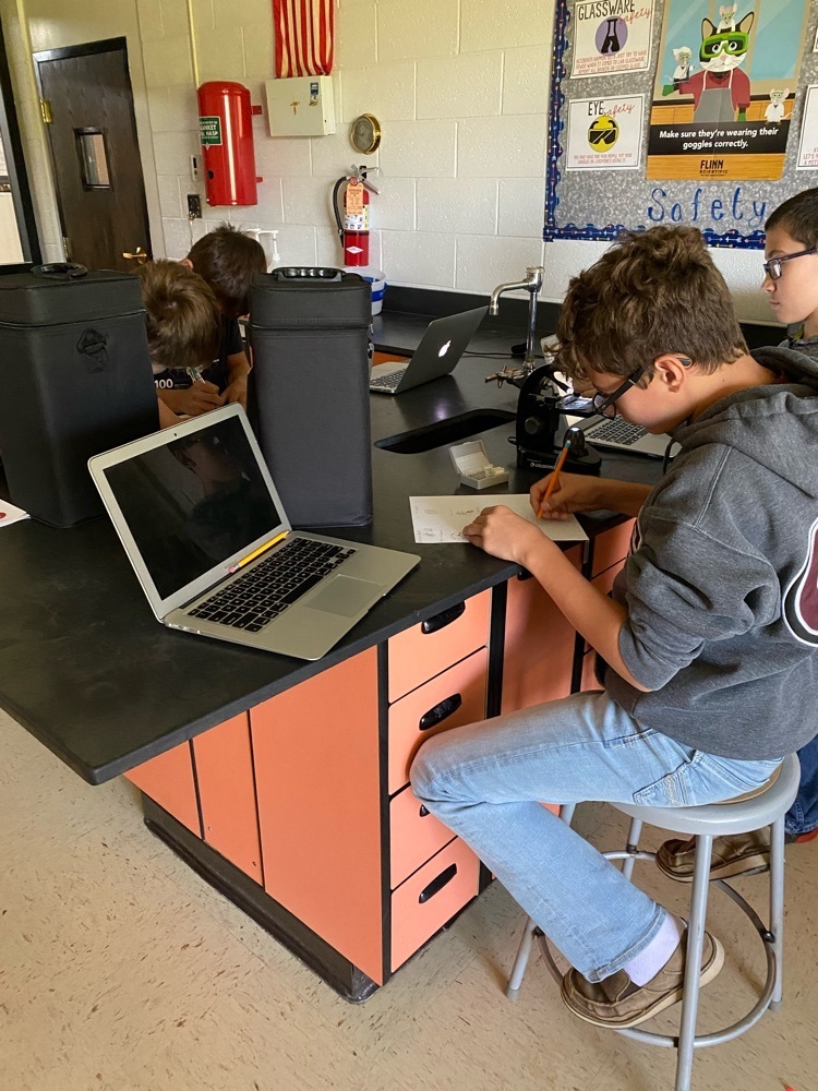 7th grade uses microscopes